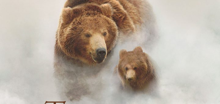 Affiche du film "Terre des ours"