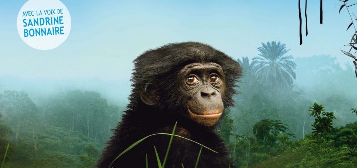 Affiche du film "Bonobos"