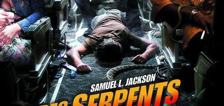 Affiche du film "Des Serpents Dans l'Avion"