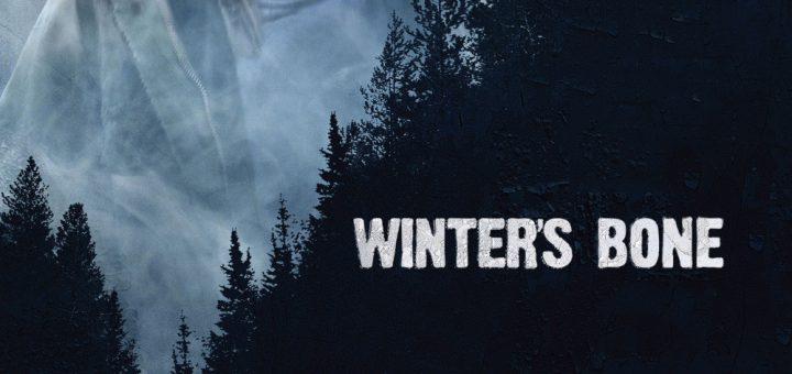 Affiche du film "Winter's Bone"