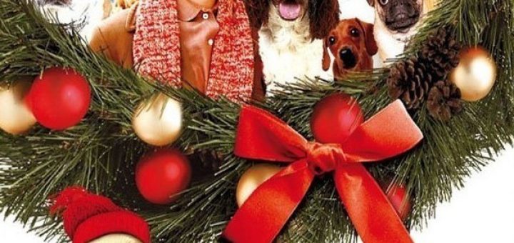 Affiche du film "Les 12 chiens de Noël"
