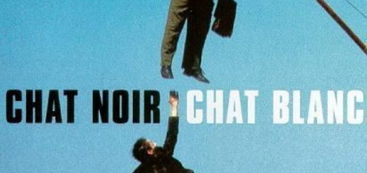 Affiche du film "Chat noir, Chat blanc"