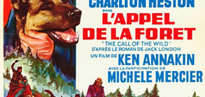 Affiche du film "L'Appel de la forêt"